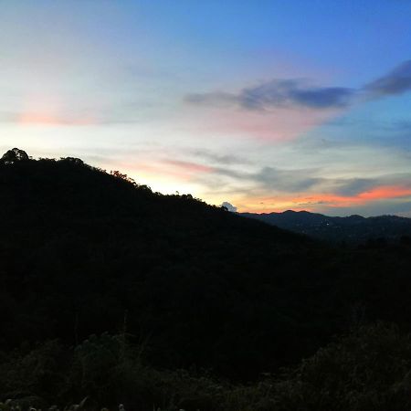 Glamping La Montana Sagrada Hotell Medellín Exteriör bild