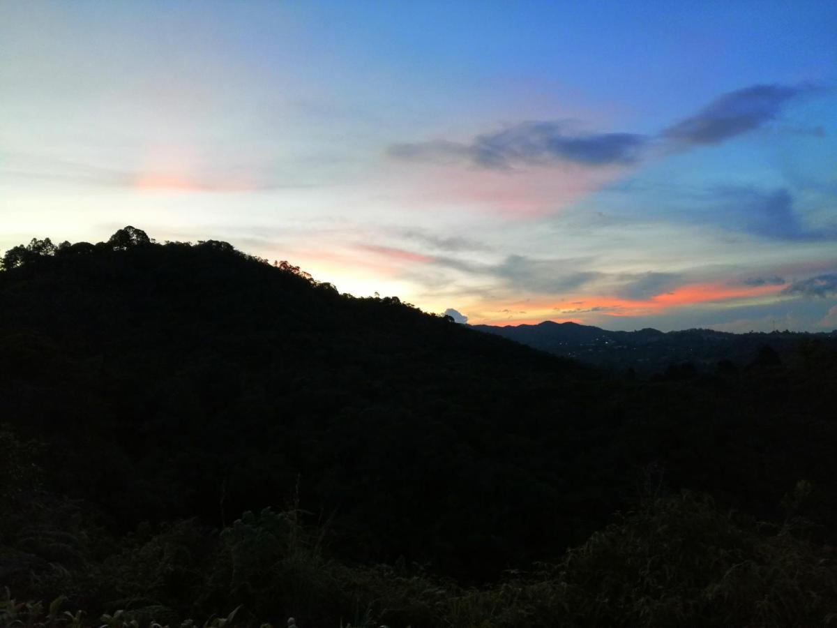 Glamping La Montana Sagrada Hotell Medellín Exteriör bild